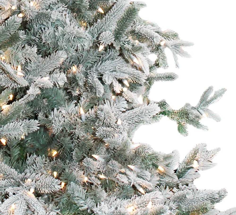 Flocked Durham Pine 9' Clear Lights - Calloway's Nursery