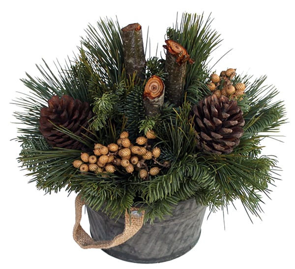 Winter Forest Centerpiece - Calloway's Nursery