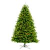 Canadian Balsam Fir 12' Clear Lights