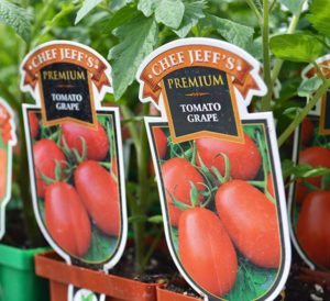 Chef Jeff's® Vegetables - Calloway's Nursery