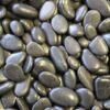 Exotic Pebbles & Glass Décor Pebbles Polished Black Gravel