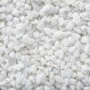 Exotic Pebbles & Glass Décor Pebbles White Bean