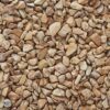 Exotic Pebbles & Glass Décor Pebbles Wood Bean