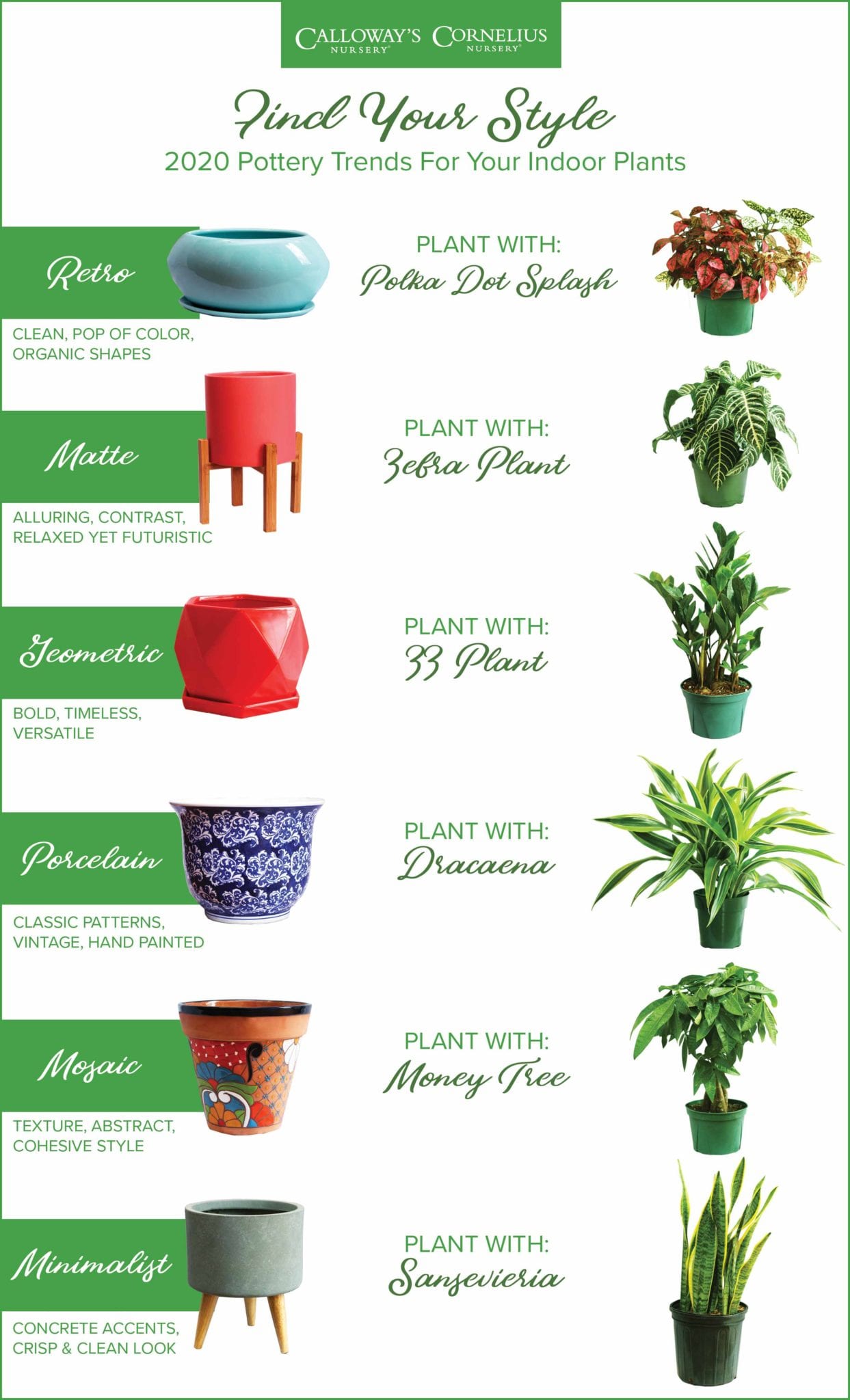 Find Your Style 2020 Pottery Trends For Your Indoor Plants Calloway