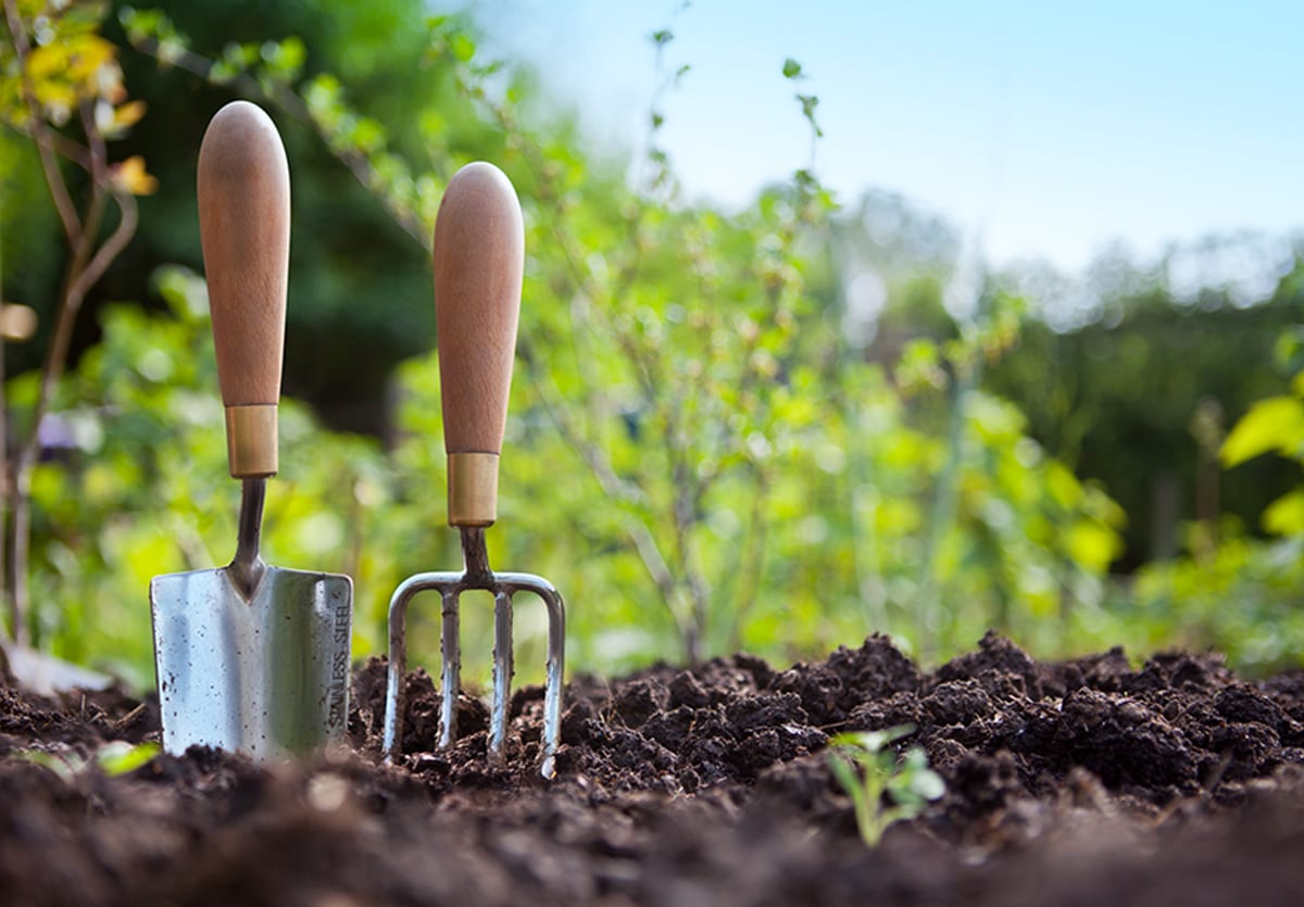 Close up of a hand trowel and spade in soil