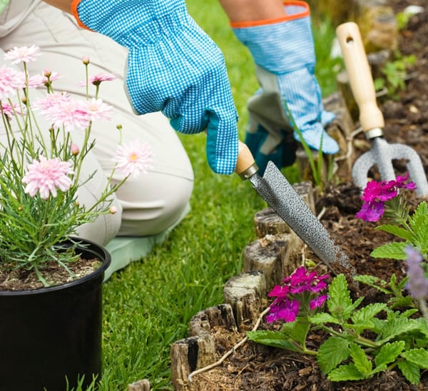 How to clean flowerbed blog image 012518