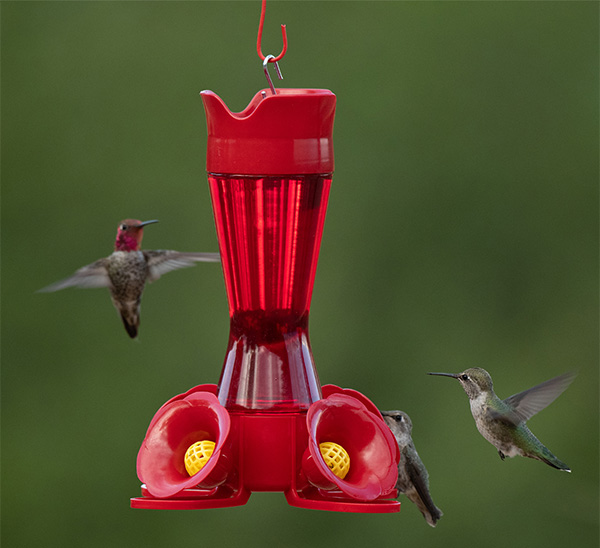 Perky-Pet® Red Pinch Waist Plastic Hummingbird Feeder | Calloway's Nursery