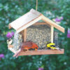 Birds eating from Perky-Pet® Deluxe Chalet Cedar Feeder