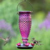 Birds feeding from Perky-Pet® Diamond Wine Top-Fill Glass Hummingbird Feeder