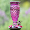 Bird flying towards Perky-Pet® Diamond Wine Top-Fill Glass Hummingbird Feeder