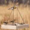 Birds on Perky-Pet® Hanging Tray Bird Feeder