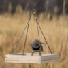 Bird on top of Perky-Pet® Hanging Tray Bird Feeder