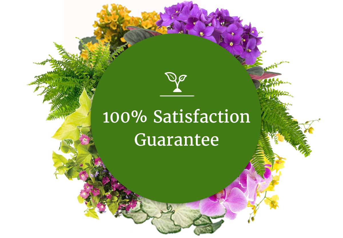 100 Percent Satisfaction Guarantee on green background surrounded by a variety of flowers and plants