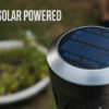 Solar Powered - Skeeter Hawk Solar Tiki Zapper and Flickering Lantern