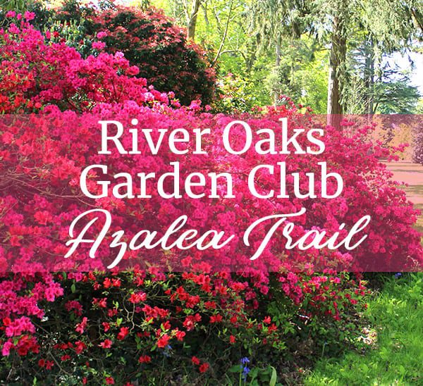 River Oaks Garden ClubAzalea Trail Calloway's Nursery