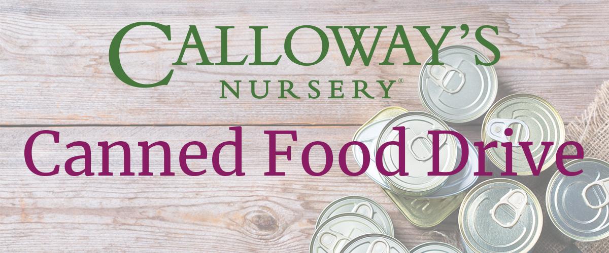 Calloway’s Canned Food Drive