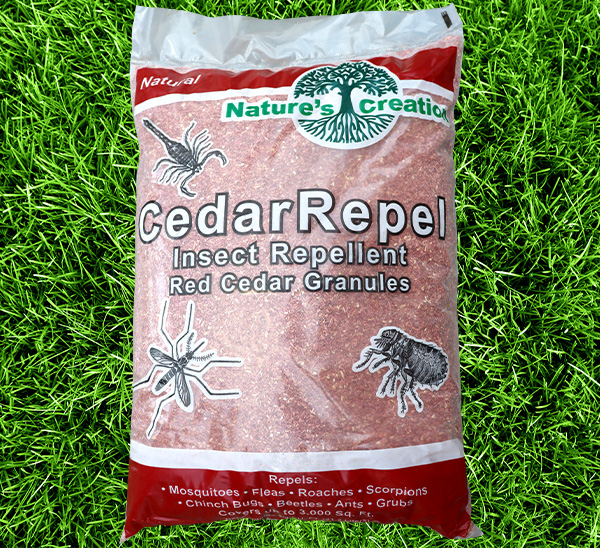 The insect-repelling power of eastern red cedar wood – Dr. Killigan's
