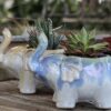 Elephant Planter