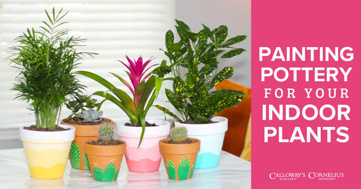 4 Ways to Decorate With Trendy Pottery & Indoor Plants