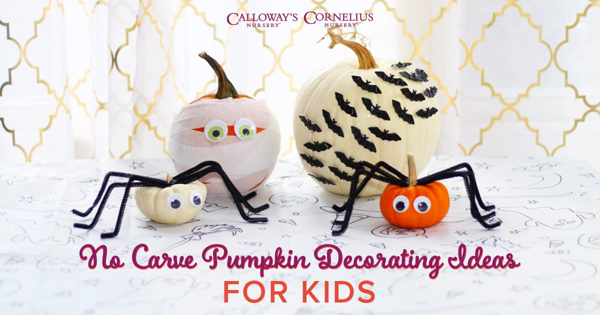 No-Carve Pumpkin Decorating Ideas for Kids | Calloway\'s Nursery