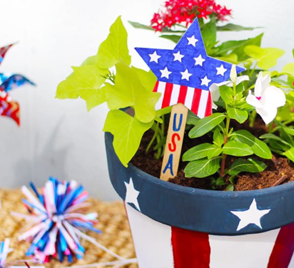 patriotic plant display