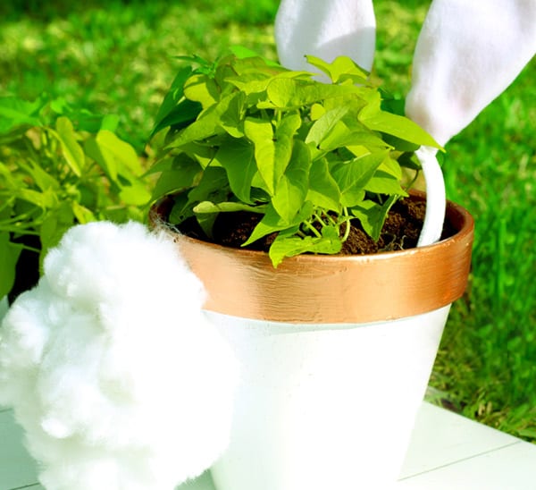 bunny planter