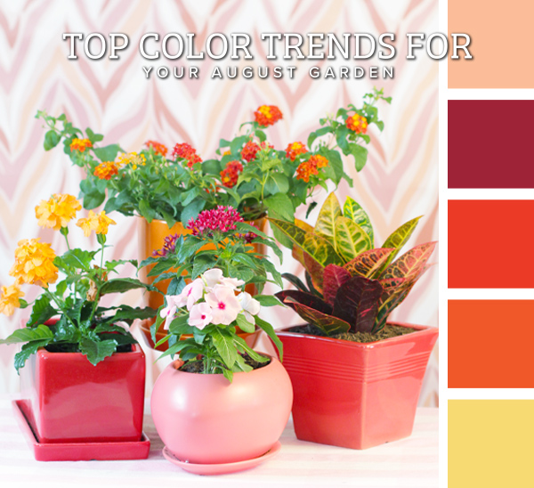 Must-Have Colors for Your 2024 Garden