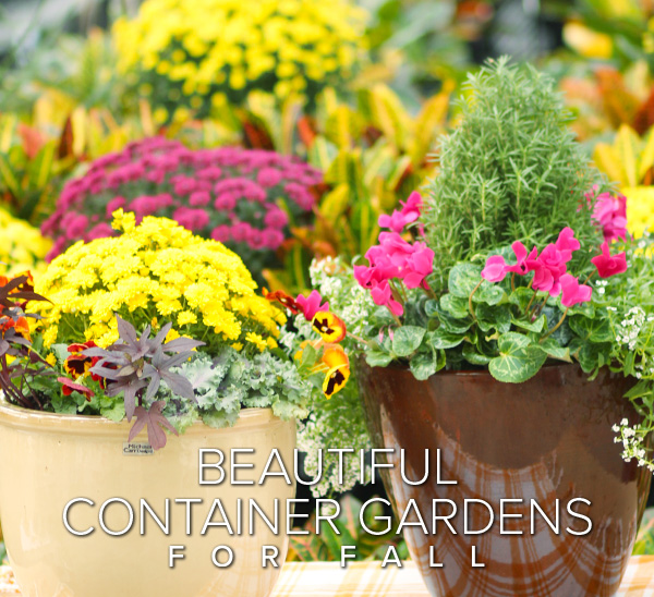 beautiful container gardens for fall