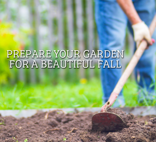 fall gardening tips