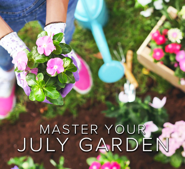 Top Gardening Tips for July from the Pros