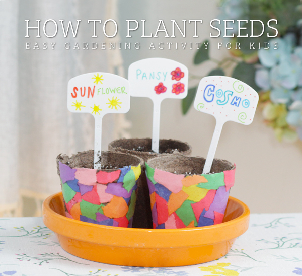 Seed planting for kids