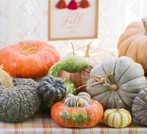 Fall decor ideas