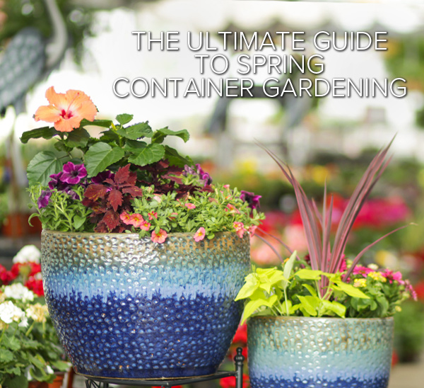 Spring Container Garden Ideas