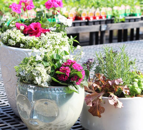 container gardens for sun, shade, and flavor