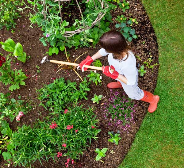 fall garden clean up