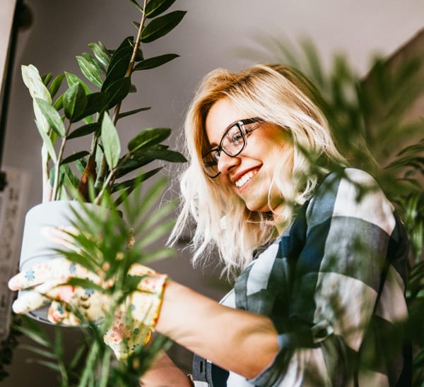 new year new houseplants