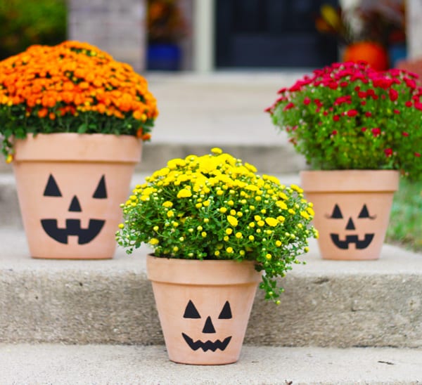 jack o lantern planters