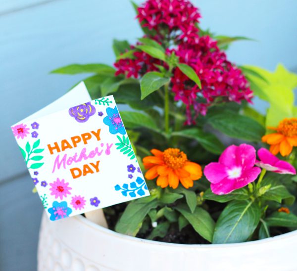 Container Gardening Mother's day gift
