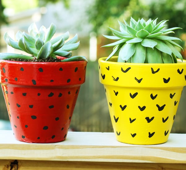 succulent planters