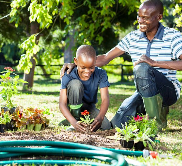 Father and son planting new flowers in a garden