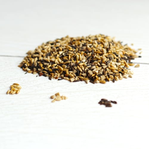 finch bird seeds