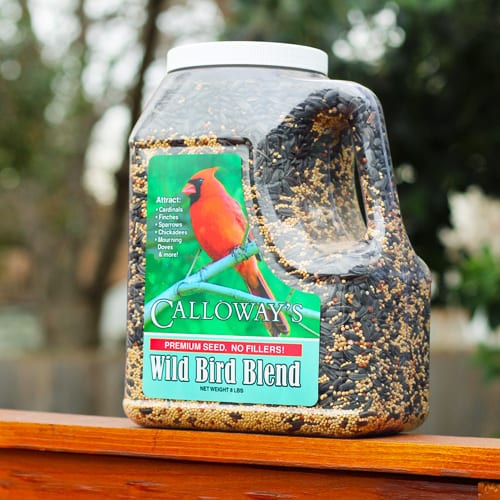 wild bird blend