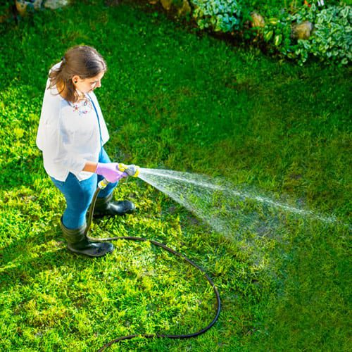 watering with hand watering tools