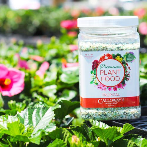 calloway's premium tropical plant food