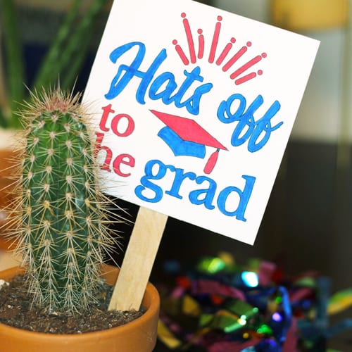 Graduation Gift Ideas: Way to Grow Graduates | Calloway’s Nursery