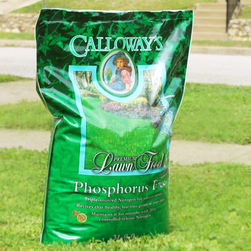 premium lawn food with phosphorus