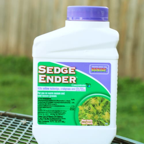 sedge ender