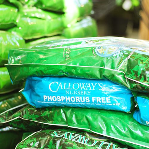 lawn food phosphorus free