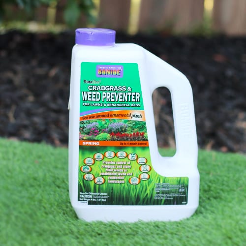 How – To Control Weeds Now for a Fabulous Fall Lawn | Calloway’s Nursery