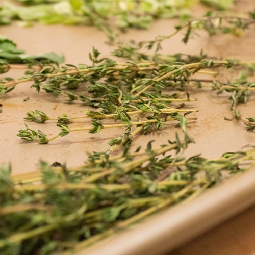 drying fresh herbs